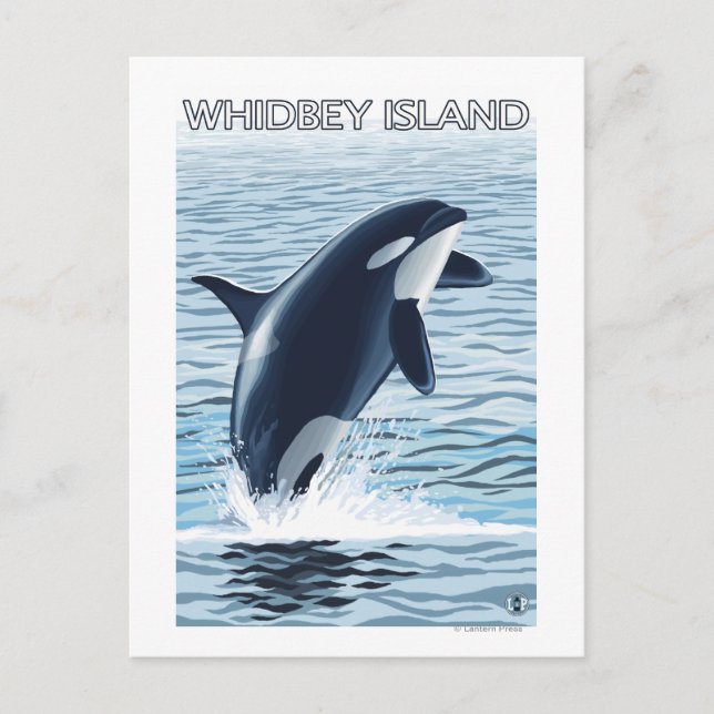 Carte Postale Whidbey Island, Washington Orca Jumping (Devant)