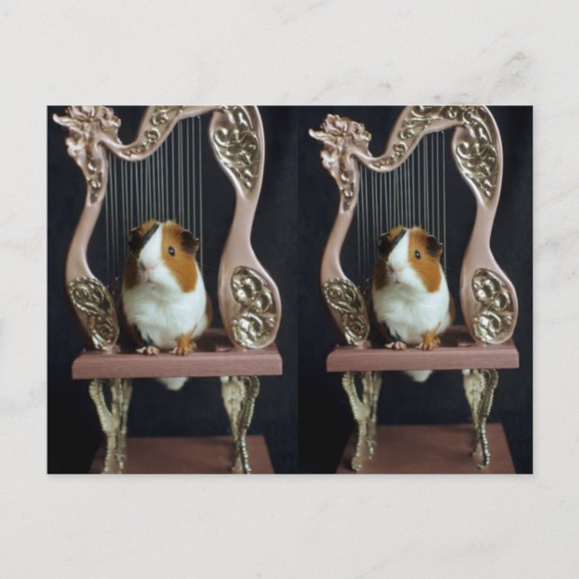Carte Postale Whimsical Guinea Pig Harp Postcard – Elegant Story (Devant)