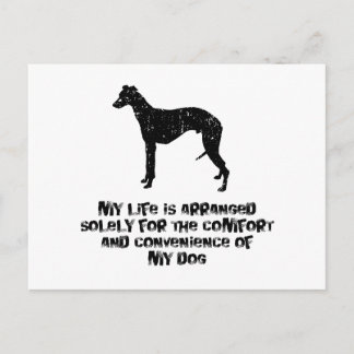 Carte Postale Whippet