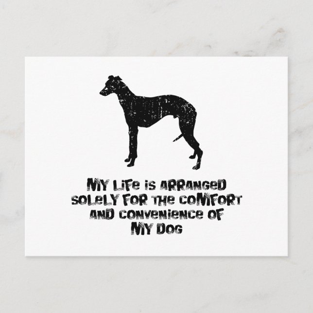 Carte Postale Whippet (Devant)