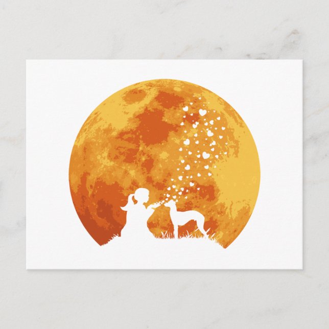 Carte Postale Whippet (Devant)