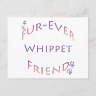 Carte Postale Whippet Furever Friend