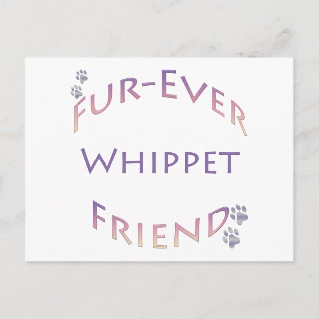 Carte Postale Whippet Furever Friend (Devant)