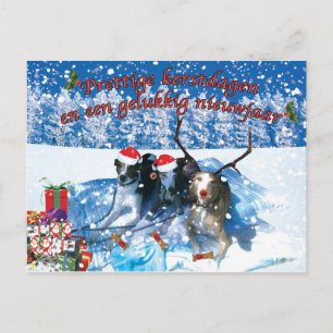 Carte Postale Whippet kerstkaart
