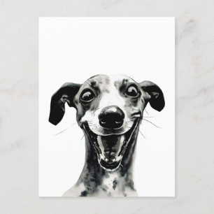 Carte Postale Whippet noir et blanc   Cute Greyhound