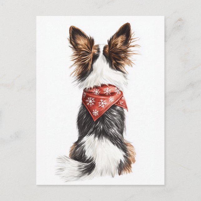 Carte Postale Whiskers d'hiver (Devant)