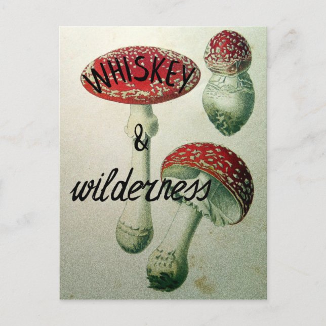 Carte Postale Whiskey & Wilderness Toadstool (Devant)