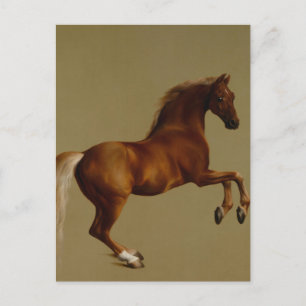 Carte Postale Whistlejacket Race Horse par George Stubbs