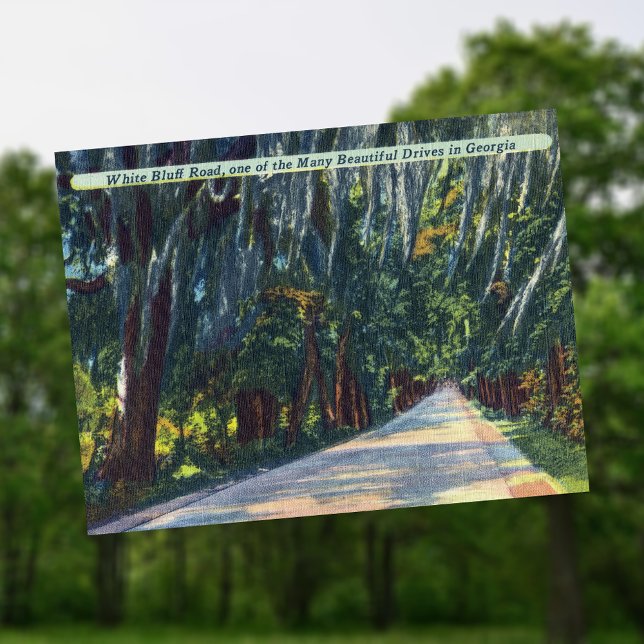 Carte Postale White Bluff Rd Beautiful Dr Savannah GA Historique (Créateur téléchargé)