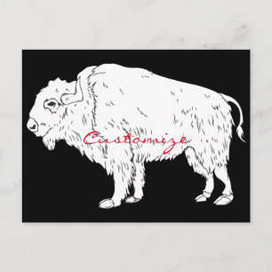 Carte Postale White Buffalo Thunder_cove