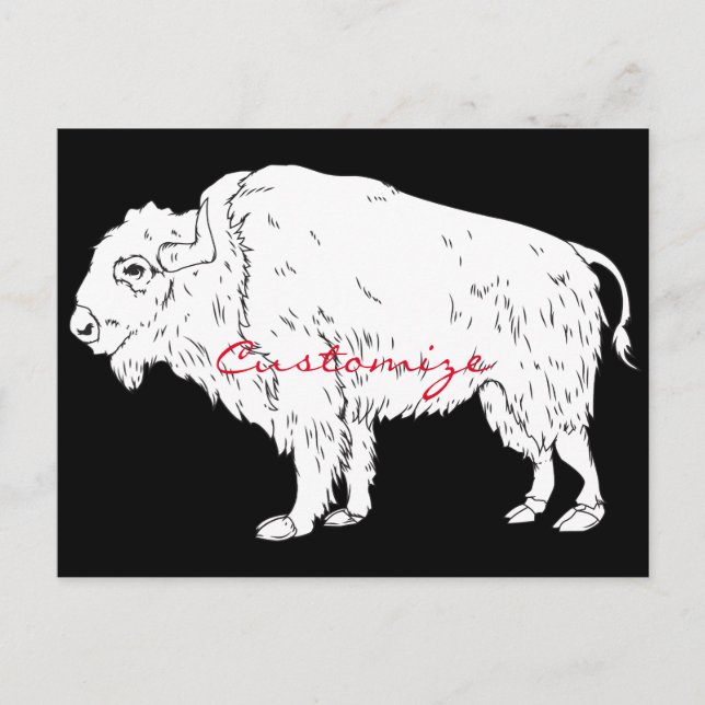 Carte Postale White Buffalo Thunder_cove (Devant)
