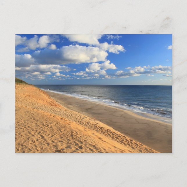 Carte Postale White Crest Beach Cape Cod Ocean Beach Infrastruct (Devant)