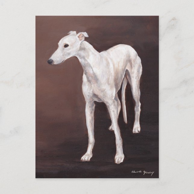 Carte postale White Greyhound Dog Art (Devant)