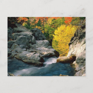 Carte Postale White Mountain National Forest, NH