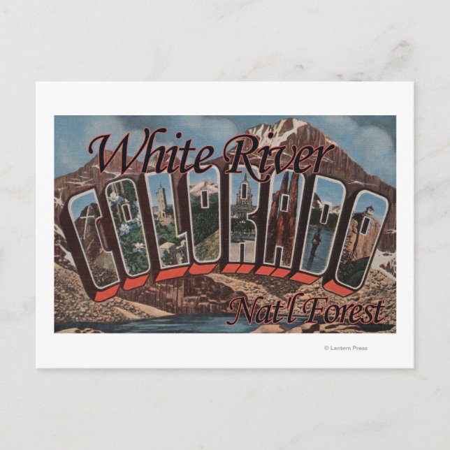 Carte Postale White River Nat'l Forest, Colorado (Devant)