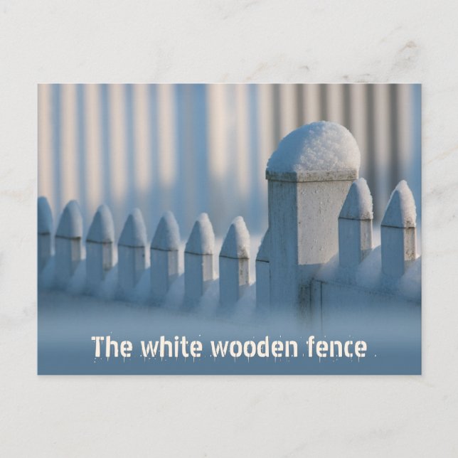 Carte Postale White wooden fence CC0684 Winter Sun Postcard (Devant)