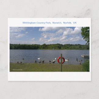 Carte Postale Whitlingham Country Park, Norwich, Norfolk, Royaum