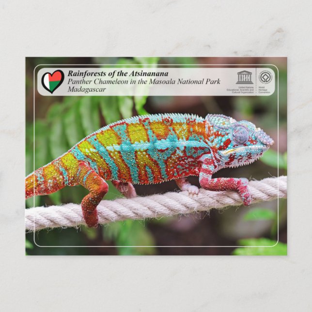 Carte Postale WHS UNESCO - Atsinanana - Parc National Masoala (Devant)