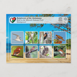 Carte Postale WHS UNESCO - Atsinanana - Parc National Masoala