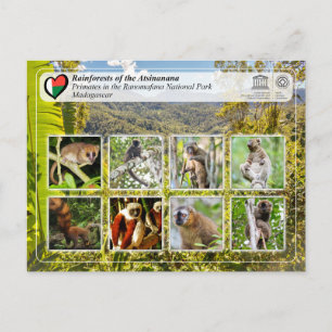 Carte Postale WHS UNESCO - Atsinanana - Parc national Ranomafana