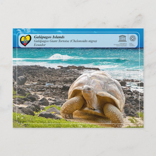 Carte Postale WHS UNESCO - Îles Galápagos - Tortue géante (Devant)