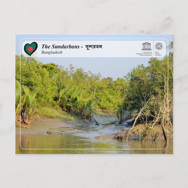 Carte Postale WHS UNESCO - Les Sundarbans - সু ন্ দ র ব ন (Devant)