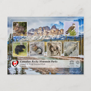 Carte Postale WHS UNESCO - Parc national Banff