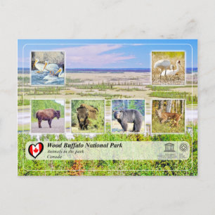 Carte Postale WHS UNESCO - Parc national de Wood Buffalo