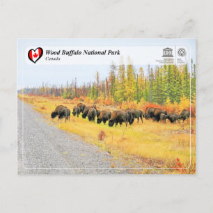 Carte Postale WHS UNESCO - Parc national de Wood Buffalo
