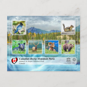 Carte Postale WHS UNESCO - Parc national du Jasper