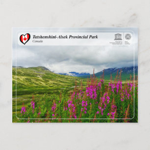 Carte Postale WHS UNESCO - Parc provincial Tatshenshini-Alsek