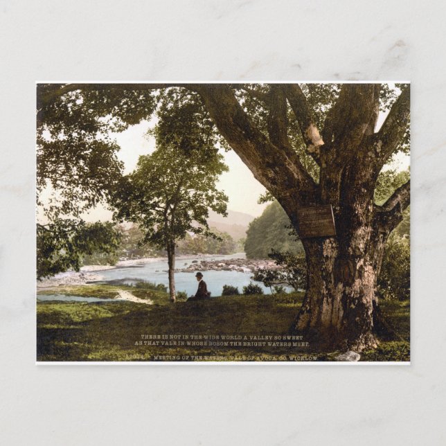 Carte Postale Wicklow Ireland, poème Thomas Moore Avoca (Devant)