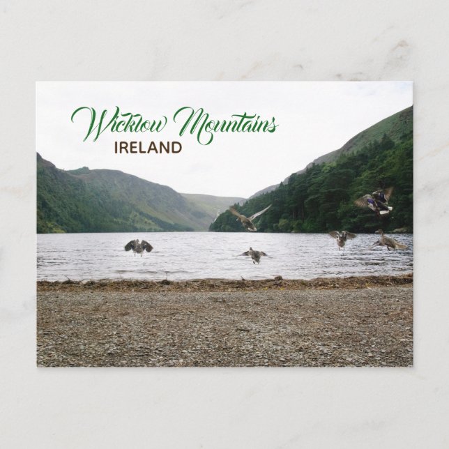 Carte Postale Wicklow Mountains, Ireland Postcard (Devant)