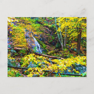 Carte Postale Wigwam Falls in Automne, Virginie