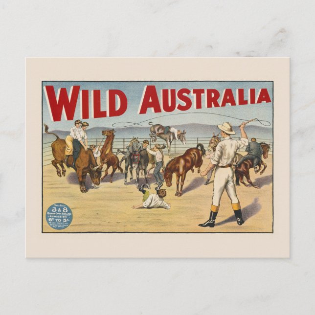 Carte Postale Wild Australia Poster vintage 1910 (Devant)