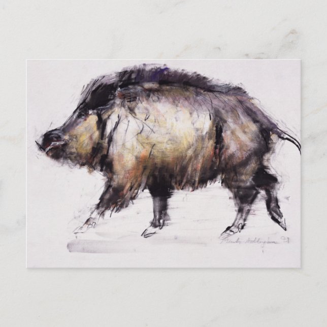Carte Postale Wild Boar 1999 (Devant)