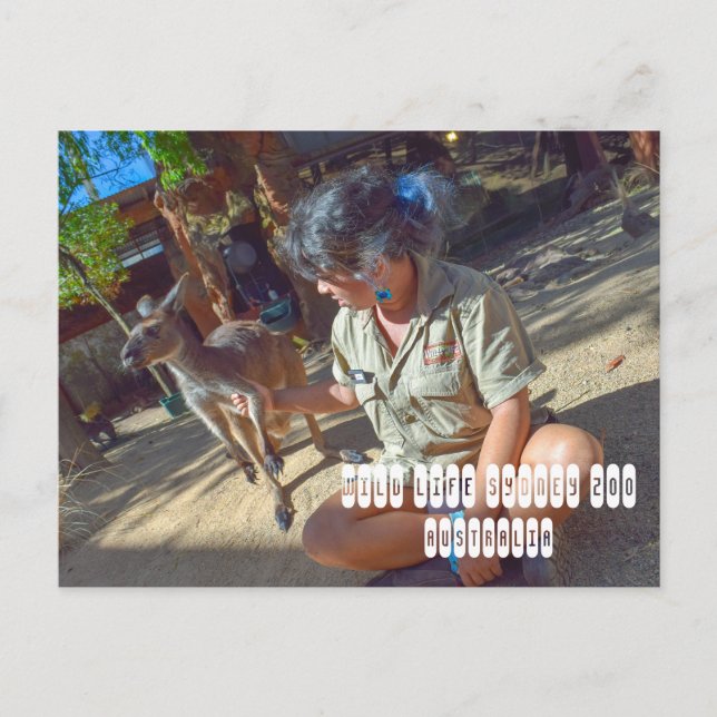 Carte Postale Wild Life Sydney Zoo en Australie (Devant)