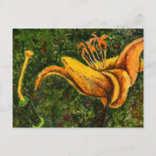 Carte postale "Wild Lily"