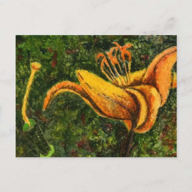 Carte postale "Wild Lily" (Devant)
