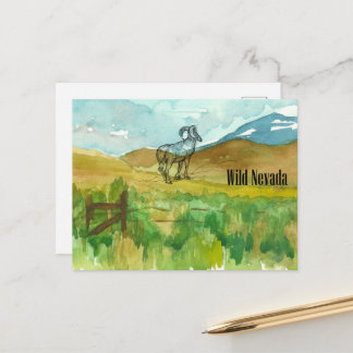 Carte Postale Wild Nevada Bighorn Sheep Desert Landscape