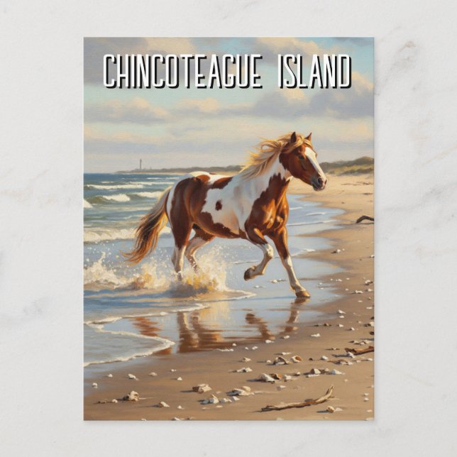 Carte Postale Wild Pony in Chincoteague Island Virginia Travel (Devant)