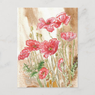 Carte postale 'Wild Poppies'