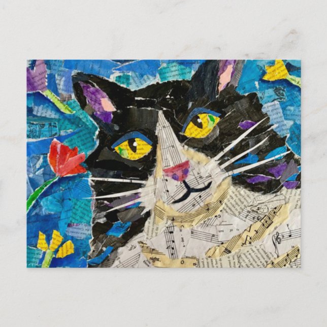 Carte Postale Wildboy le chat (Devant)