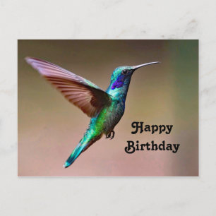 Carte Postale Wildlife Green Hummingbird Photo Anniversaire