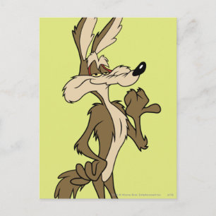 CARTE POSTALE WILE E. COYOTE™ A L'AIR FIER