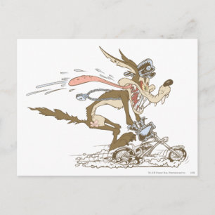 Carte Postale WILE E. COYOTE™ Cycle Racer