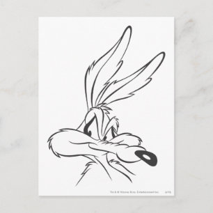 Carte Postale WILE E. COYOTE™ Expressive 7