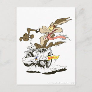 Carte Postale WILE E. COYOTE™ Pilote fou