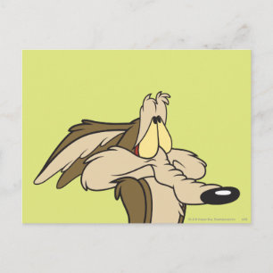 Carte Postale Wile E. Coyote : Une catastrophe imminente