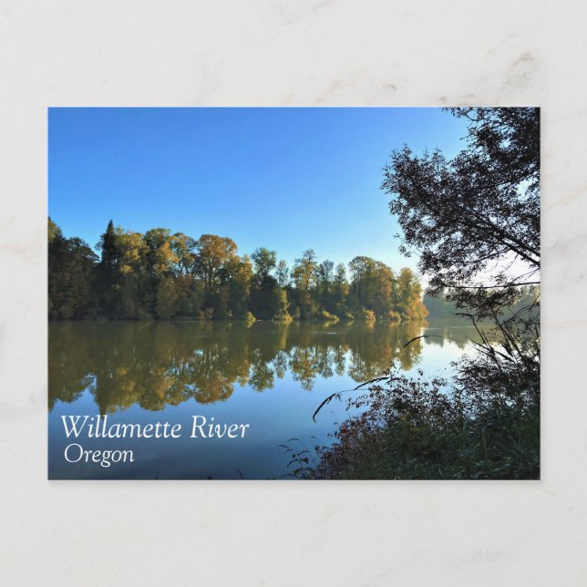 Carte Postale Willamette (Devant)